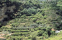 Thumbnail of Italien Amalfikueste-065.jpg