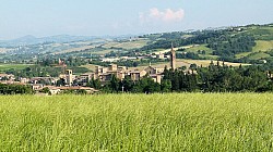 Thumbnail of P1040953_Castelvetro di Modena.jpg