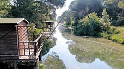 Thumbnail of P1040955_Milano Marittima.jpg