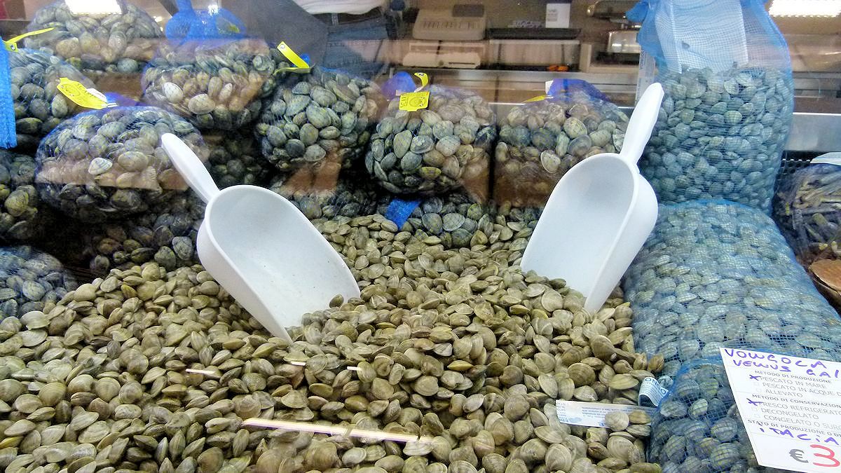 P1050217_Markthalle_Rimini.jpg