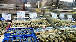 Thumbnail of P1050216_Markthalle_Rimini.jpg