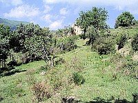 Thumbnail of imgp2429.jpg
