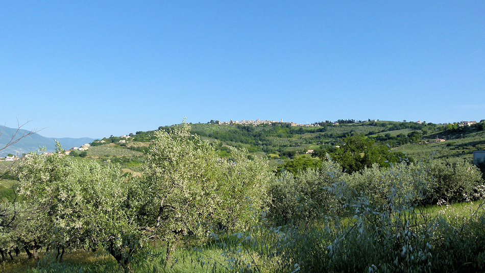 P1020141-Montefalco.jpg