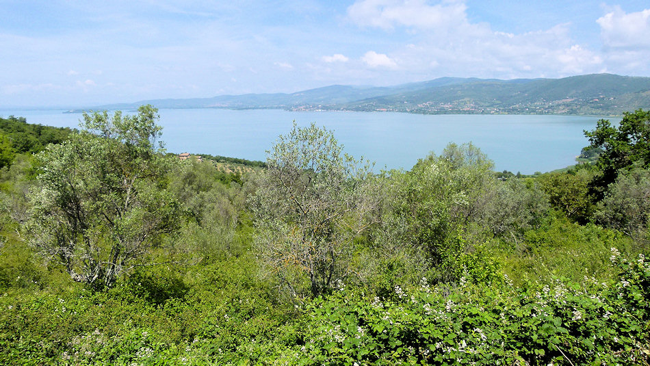 P1020192-Monte del Lago.jpg