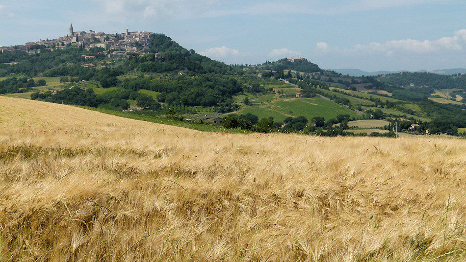 P1020246-Todi.jpg