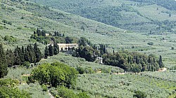 Thumbnail of P1020063-Spello.jpg