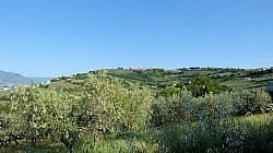 Thumbnail of P1020141-Montefalco.jpg