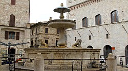 Thumbnail of P1020150-Assisi.jpg