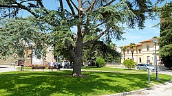 Thumbnail of P1020211-Castiglione del lago.jpg