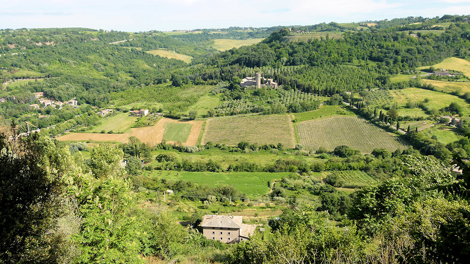 P1020305-Orvieto.jpg