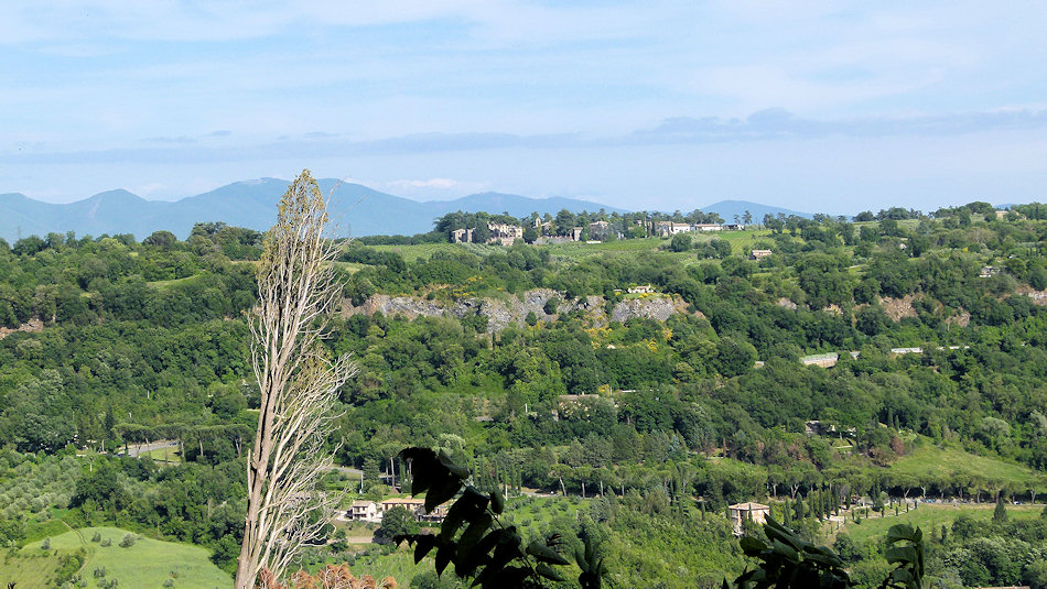 P1020307-Orvieto.jpg