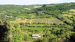 Thumbnail of P1020305-Orvieto.jpg