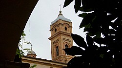 Thumbnail of P1020370-Tolentino.jpg