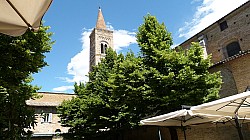 Thumbnail of P1020423-Urbino.jpg