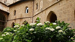 Thumbnail of P1030692_Santa_Scolastica.jpg