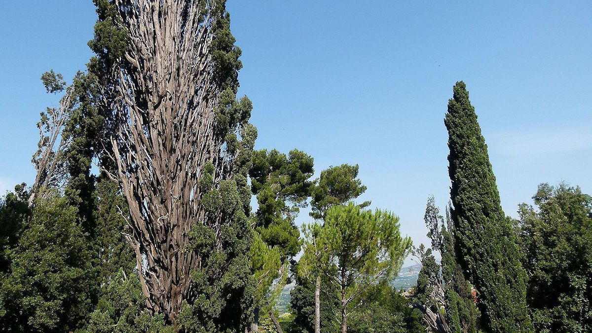 P1030950_Villa_d_Este.jpg