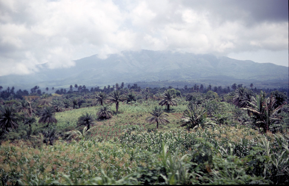 Westafrika 1986-02-035.jpg