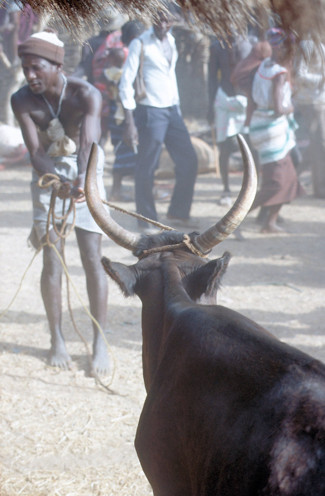 Westafrika 1986-01-058.jpg