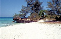 Thumbnail of Sudafrika bis Tansania 1995-03-015.jpg