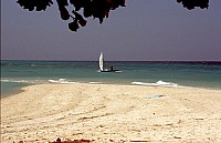 Thumbnail of Sudafrika bis Tansania 1995-03-016.jpg