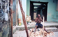 Thumbnail of Sudafrika bis Tansania 1995-03-017.jpg
