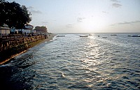 Thumbnail of Sudafrika bis Tansania 1995-03-019.jpg