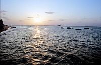 Thumbnail of Sudafrika bis Tansania 1995-03-020.jpg
