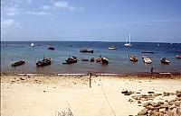 Thumbnail of Sudafrika bis Tansania 1995-03-027.jpg