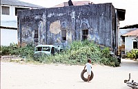 Thumbnail of Sudafrika bis Tansania 1995-03-031.jpg