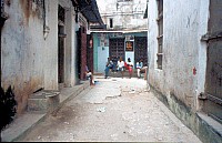 Thumbnail of Sudafrika bis Tansania 1995-03-045.jpg
