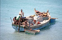 Thumbnail of Sudafrika bis Tansania 1995-03-049.jpg