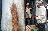 Thumbnail of Sudafrika bis Tansania 1995-03-052.jpg
