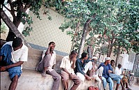 Thumbnail of Sudafrika bis Tansania 1995-03-053.jpg