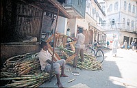 Thumbnail of Sudafrika bis Tansania 1995-03-054.jpg