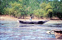 Thumbnail of Sudafrika bis Tansania 1995-03-058.jpg