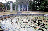 Thumbnail of Sudafrika bis Tansania 1995-03-061.jpg