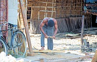 Thumbnail of Sudafrika bis Tansania 1995-03-063.jpg