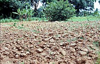 Thumbnail of Sudafrika bis Tansania 1995-03-064.jpg