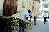 Thumbnail of Sudafrika bis Tansania 1995-03-082.jpg