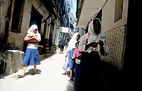 Thumbnail of Sudafrika bis Tansania 1995-03-083.jpg