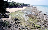 Thumbnail of Sudafrika bis Tansania 1995-03-087.jpg