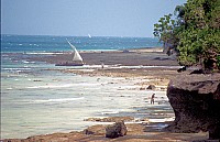 Thumbnail of Sudafrika bis Tansania 1995-03-090.jpg