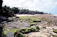 Thumbnail of Sudafrika bis Tansania 1995-03-091.jpg