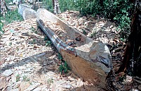 Thumbnail of Sudafrika bis Tansania 1995-03-094.jpg