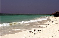 Thumbnail of Sudafrika bis Tansania 1995-03-095.jpg