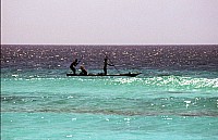 Thumbnail of Sudafrika bis Tansania 1995-03-096.jpg