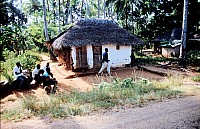Thumbnail of Sudafrika bis Tansania 1995-03-100.jpg