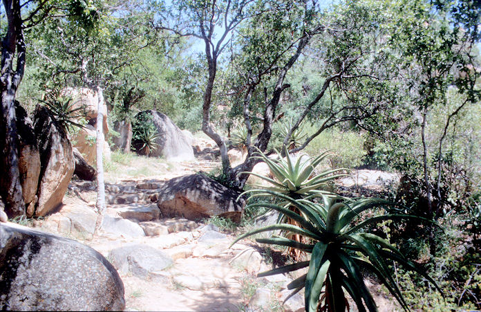 Sudafrika bis Tansania 1995-01-151.jpg