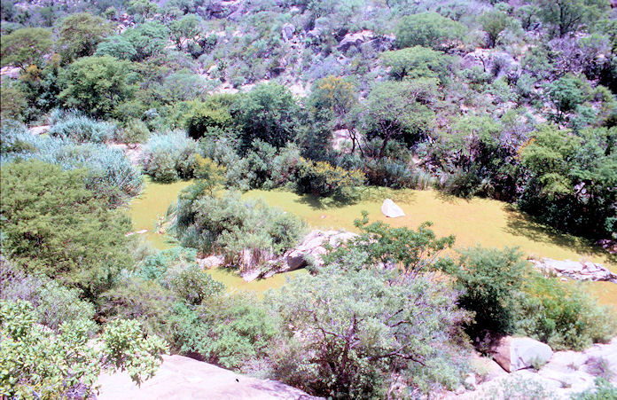 Sudafrika bis Tansania 1995-01-158.jpg