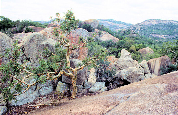 Sudafrika bis Tansania 1995-02-002.jpg